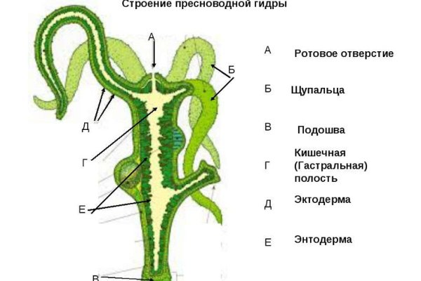 Рабочая ссылка на кракен