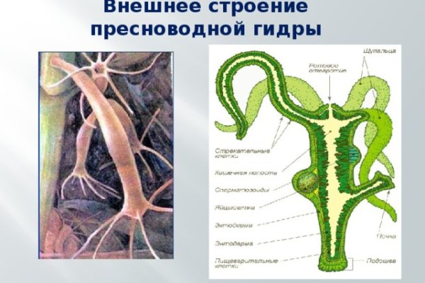 Кракен вход официальная ссылка