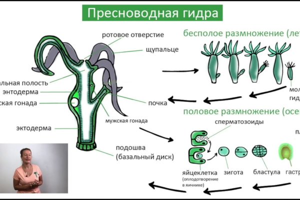 Кракен вход зеркало