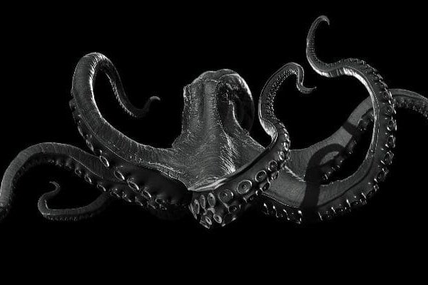 Kraken mirrors